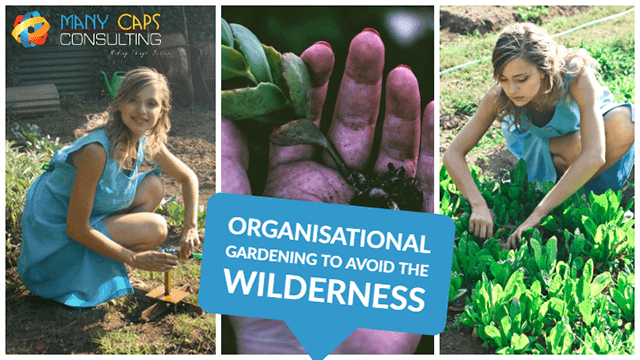 Organisational-Wilderness-tiny